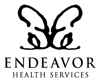 ENDEAVOR HEALTH SERVICES