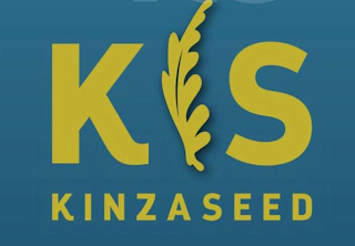 KS KINZASEED