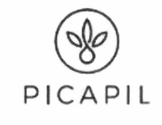 PICAPIL