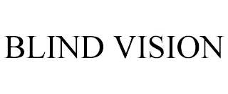 BLIND VISION