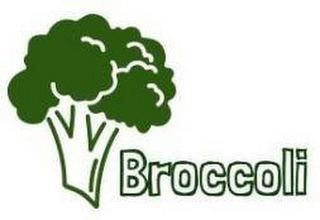 BROCCOLI