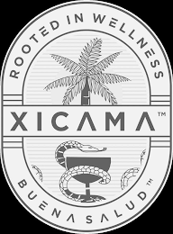 ROOTED IN WELLNESS XICAMA BUENA SALUD