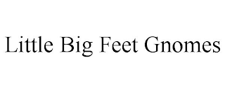 LITTLE BIG FEET GNOMES