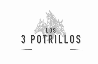 LOS 3 POTRILLOS