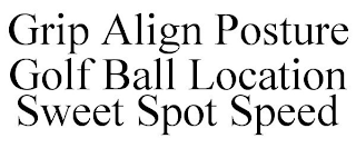 GRIP ALIGN POSTURE GOLF BALL LOCATION SWEET SPOT SPEED