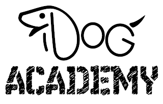 IDOG ACADEMY