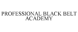 PROFESSIONAL BLACK BELT ACADEMY