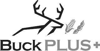 BUCK PLUS +