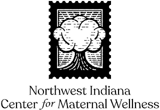 NORTHWEST INDIANA CENTER FOR MATERNAL WELLNESS