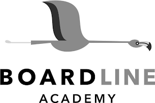 BOARDLINE ACADEMY