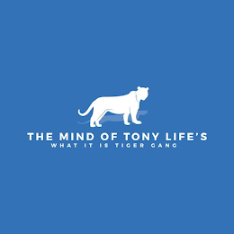 THE MIND OF TONY LIFE'S WHAT IT IS TIGER GANG