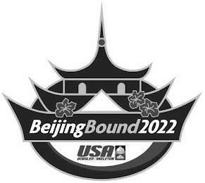 BEIJING BOUND 2022 USA BOBSLED SKELETON