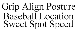 GRIP ALIGN POSTURE BASEBALL LOCATION SWEET SPOT SPEED