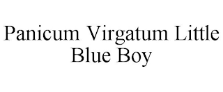 PANICUM VIRGATUM LITTLE BLUE BOY