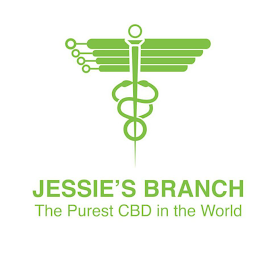 JESSIE'S BRANCH THE PUREST CBD IN THE WORLD