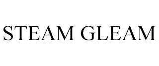 STEAM GLEAM