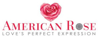 AMERICAN ROSE LOVE'S PERFECT EXPRESSION