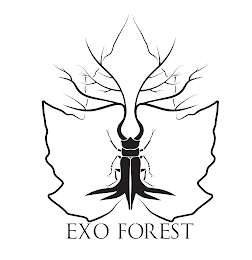 EXO FOREST