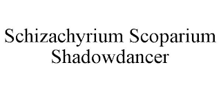 SCHIZACHYRIUM SCOPARIUM SHADOWDANCER