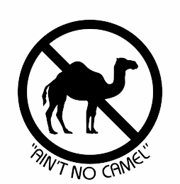 "AIN'T NO CAMEL"