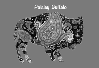 PAISLEY BUFFALO