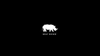 BEAT RHINO