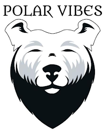 POLAR VIBES