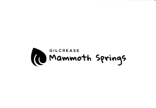 GILCREASE MAMMOTH SPRINGS