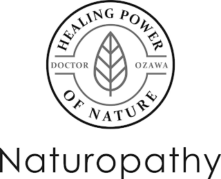 DOCTOR OZAWA HEALING POWER OF NATURE NATUROPATHY