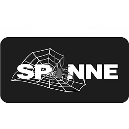 SPINNE