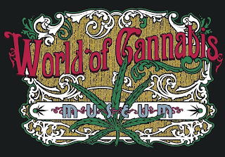 WORLD OF CANNABIS MUSEUM