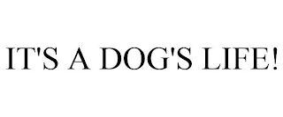 IT'S A DOG'S LIFE!