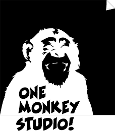 ONE MONKEY STUDIO!