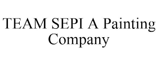 TEAM SEPI A PAINTING COMPANY