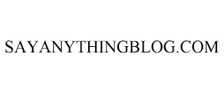 SAYANYTHINGBLOG.COM