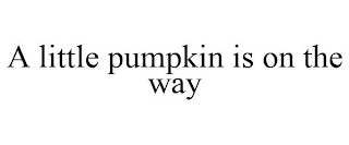 A LITTLE PUMPKIN IS ON THE WAY