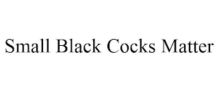 SMALL BLACK COCKS MATTER