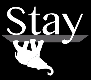 STAY