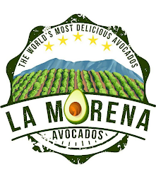 LA MORENA AVOCADOS THE WORLD'S MOST DELICIOUS AVOCADOS