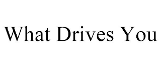 WHAT DRIVES YOU