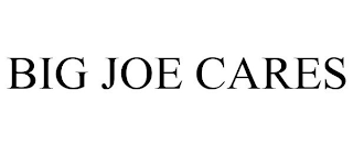 BIG JOE CARES