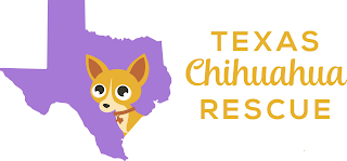 TEXAS CHIHUAHUA RESCUE