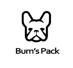 BUM'S PACK