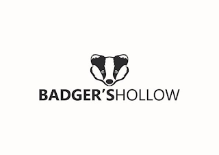 BADGER'SHOLLOW