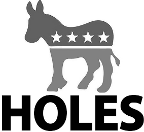 HOLES