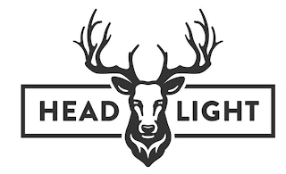 HEAD LIGHT