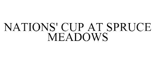 NATIONS' CUP AT SPRUCE MEADOWS