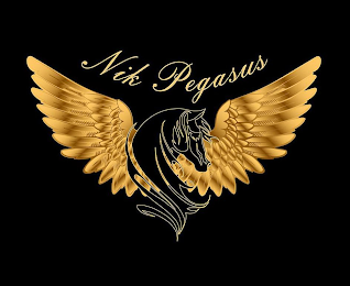 NIK PEGASUS