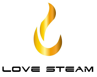 LOVE STEAM