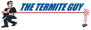 THE TERMITE GUY